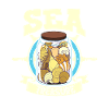 Treasure of the Sea - Shells