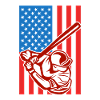 Baseball USA Flag