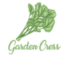 Garden cress