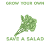 Cress