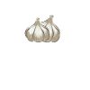 Funny Garlic Shirt