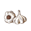 Funny garlic clove saying