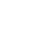 cute dog pet