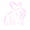 Rabbit drawn