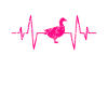 Duck heartbeat