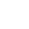 Geisha Skull