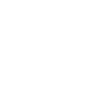 Cigar Bear
