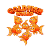 Goldfish Squad Swimming Fish Aquaristics