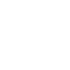 Chess King