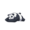 Panda Gifts Panda Lover