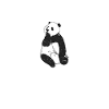 Panda Gifts Panda Lover