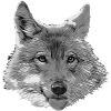 GAIA Langue SW