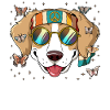 60s 70s Costume Groovy Hippie