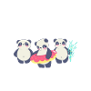 Panda Gifts Panda Lover