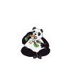 Panda Gifts Panda Lover