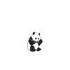 Panda Gifts Panda Lover