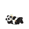 Panda Gifts Panda Lover