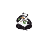 Panda Gifts Panda Lover