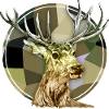 Hirsch