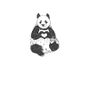 Panda Gifts Panda Lover