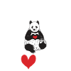 Panda Gifts Panda Lover