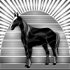 Cheval