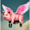 Flying pig