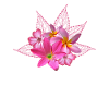 Tropiske blomster - Blomster - Blomst - Flora