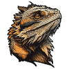 Bearded dragon