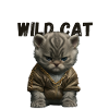 Wild Cat