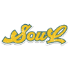 Soul Music
