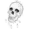 Maggots and skull