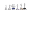 Chess Jujitsu Fighter | BrazilianJiuJitsu