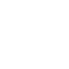 Teckel, mon fidèle compagnon - chiot