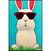 Easter Sunglasses Easter Pet Party