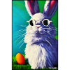 Easter Sunglasses Easter Pet Party