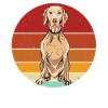 Weimaraner