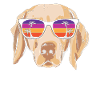 Weimaraner