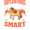 Shetland Pony Cadeau Shetty