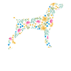 Weimaraner