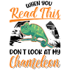 Caméléon Cadeau Caméléon