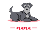 Zwergschnauzer