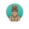 Zwergschnauzer