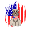 Zwergschnauzer