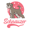 Schnauzer nain