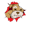 Zwergschnauzer