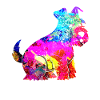 Zwergschnauzer