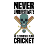Cricket player sport
