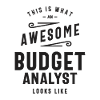 Budget Analyst