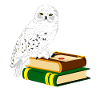 Snowy Owl Books Magic